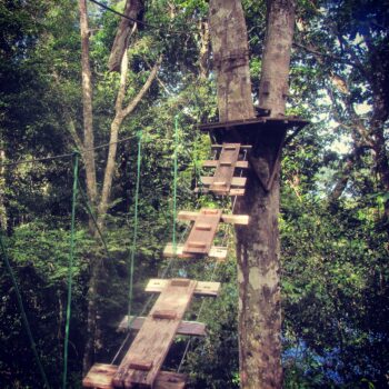 Zipline ‘monkey ladder’